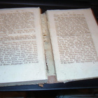 Thomas Moore : Epikureen ( 1 p. 1829 ÅBO ) + 1 ( sis. pk ) - pikkukuva 5