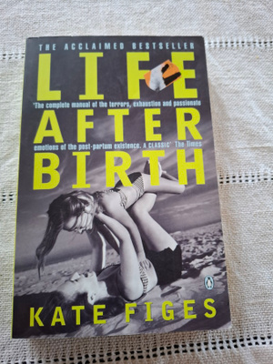 Kate Figes : Life after Birth