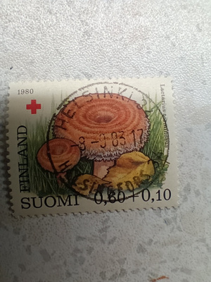 Postimerkki Punainen Risti loistoleima