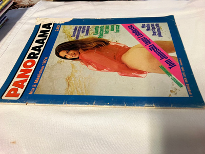 PANORAAMA 3/1974