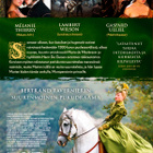 Montpensierin Prinsessa - DVD - pikkukuva 2