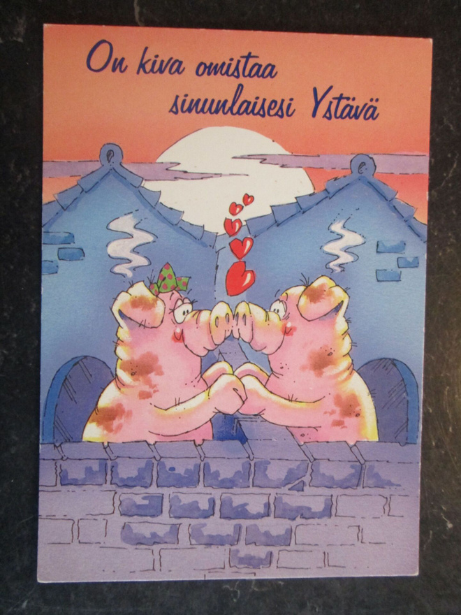 KULKEMATON ON KIVA OMISTAA SINUNLAISESI YSTÄVÄ ANKI KORTTI