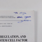 Wei Yan : Expression, Regulation and Function of Stem Cel... - pikkukuva 3