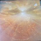 Herbie Mann/The Family of Mann: First Light 1974 LP Gadd - pikkukuva 1