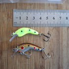 Karikko Ukko 3 ja 3.5cm - pikkukuva 1