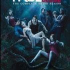 True Blood Seasons 1-3 (15Levyä)(R2) - pikkukuva 3