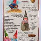 Wil Huygen : Suuri tonttukirja - pikkukuva 2