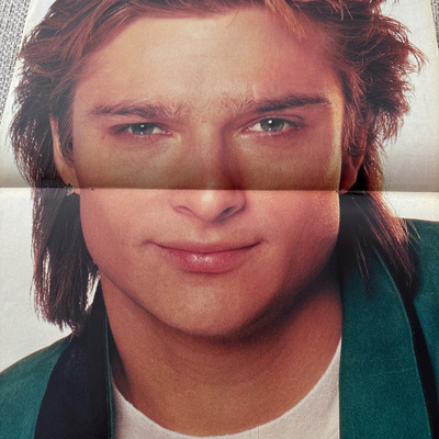 David hallyday pikkujuliste