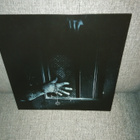 Planeetta 9: Pirun piiska 12" EP - pikkukuva 1