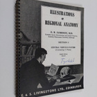 E. B. Jamieson : Illustrations of regional anatomy - sect... - pikkukuva 1