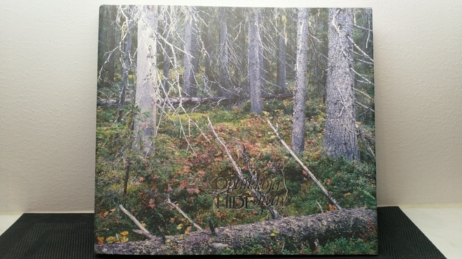 Ilpo Aalto: Pakopaikkoja Hideaways 2007