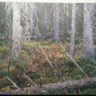 Ilpo Aalto: Pakopaikkoja Hideaways 2007 - pikkukuva 1