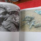 RAAKA KUVAKIRJA IRAN VALLANKUMOUS THE IMPOSED WAR - pikkukuva 3