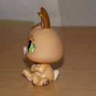 LITTLEST PET SHOP Rabberta Hopsley PUPU, KANI #1497 - pikkukuva 2