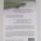 Maritta Lintunen : Heijastus - pikkukuva 2