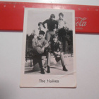 Panda POP 100 # The Hollies / The Hollies - pikkukuva 1