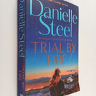 Danielle Steel : Trial by Fire - pikkukuva 1