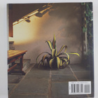 Ray Rogers : Pots in the garden : expert design and plant... - pikkukuva 2