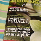 VIHERPIHA-LEHTI 12 / 2017 - pikkukuva 3