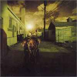 The Platoon - Like Hyenas In The Desert (CD)