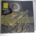 BURST - LAZARUS BIRD M-/M- HOL 2008 2LP - pikkukuva 1