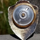 CCCR - Maavoimat, Harvoin ruuvina!!!!! Halkaisija - 41 mm. - pikkukuva 3