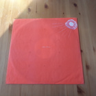 Wild Swans – Space Flower lp orig 1990 Indie Rock - pikkukuva 3