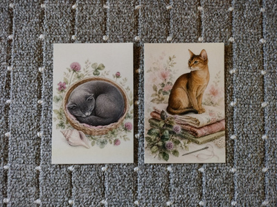 ~Kissa kortti~ 2kpl