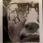 Straw Dogs (Sam Peckinpah) Criterion R0 DVD - pikkukuva 1