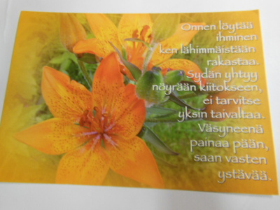 Onnen löytää ihminen...