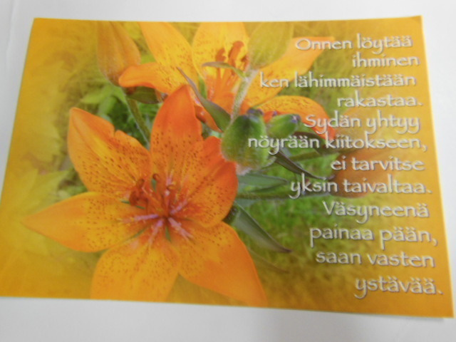 Onnen löytää ihminen...