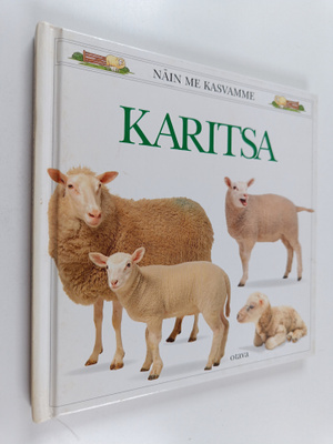 Gordon Clayton : Karitsa