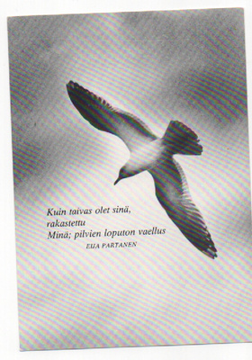 Ilkka Jaakola / Eija Partanen : Lokki  (R)