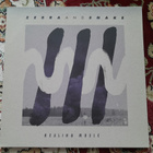 Zebra And Snake – Healing Music LP - pikkukuva 1