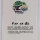 Kurt Lofterud : Puron varrella - pikkukuva 2
