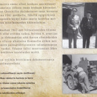 Battlefield: El Alamein (DVD) sotadokumentti - pikkukuva 4