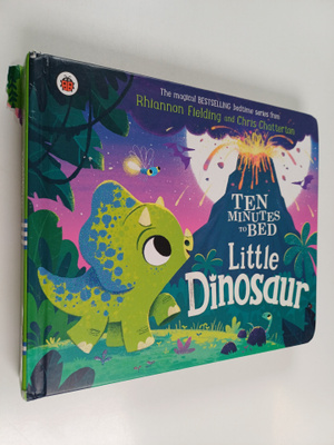 Rhiannon Fielding : Little dinosaur
