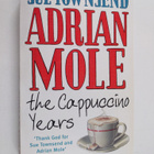 Sue Townsend : Adrian Mole : the cappuccino years - pikkukuva 1