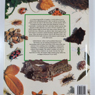 George McGavin : Insects of the Northern Hemisphere - pikkukuva 2
