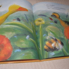 Jane Simmons Aurora ja Peto - pikkukuva 3