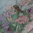 Kukkaiskeijut ' The Sweet Pea Fairies '! - pikkukuva 2