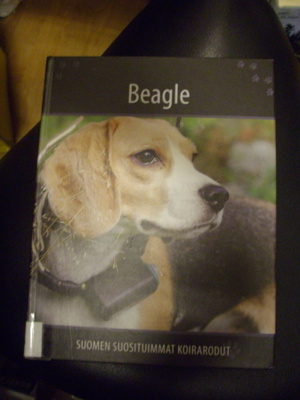 BEAGLE (Suomen suosituimmat koirarodut) Sis.postikulut