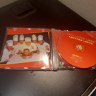 Lapinlahden Linnut – Loputon Lento - pikkukuva 2