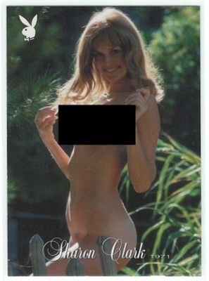 2003 Playboy Playmate of the Year #24 Sharon Clark