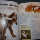 David Alderton: Koirakieltä (1.p.2012) Sis.postikulut - pikkukuva 5