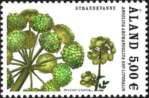 Åland 2007  Rantakukkia Meriputki  5,00 €  ** LaPe 275