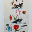 Leena Airikkala "Tulips and shoes" - pikkukuva 4