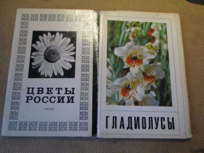 CCCP: kaksi vintage postikorttikoteloa - kukkia