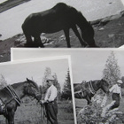 Hevosia ja hevosmiehiä.....3 vanhaa valokuvaa. - pikkukuva 2