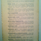 Schröder Gustaf: Yrjänä Kailanen ja hänen poikansa, v. 1934 - pikkukuva 4